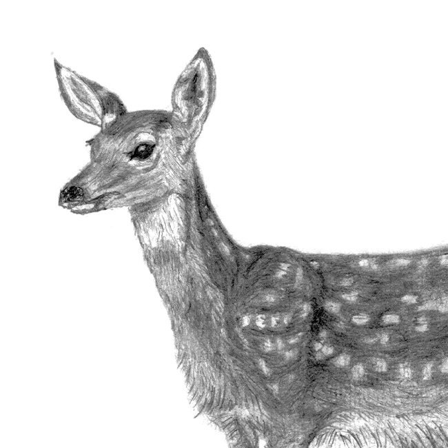 Deer Print | Gift for Him | Father's Day | Fingerprint Art | Thumbprint ...