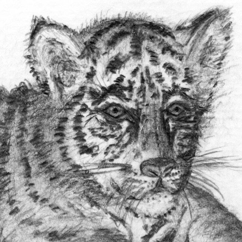 Tiger Print Fingerprint Art LSU Tiger Baby Shower Etsy