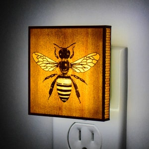 The Bee Night Light garden, insect, bug, bugs lantern image 1