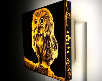 Owl Night Light, svg, gifts, decor lantern
