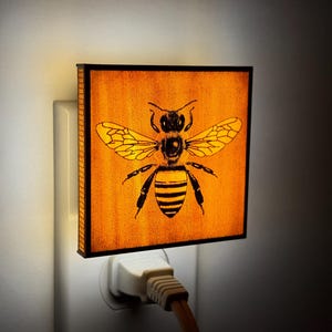 The Bee Night Light - garden, insect, bug, bugs lantern