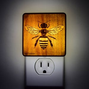 The Bee Night Light garden, insect, bug, bugs lantern image 3