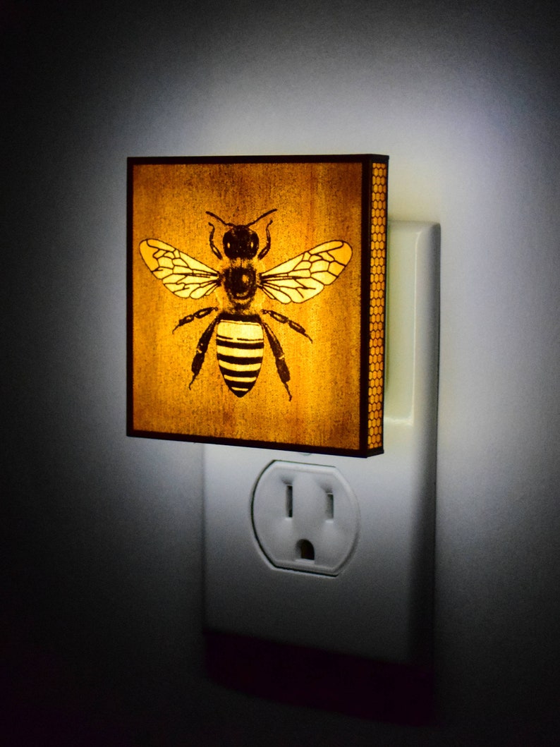 The Bee Night Light garden, insect, bug, bugs lantern image 1