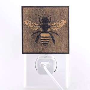 The Bee Night Light garden, insect, bug, bugs lantern image 4