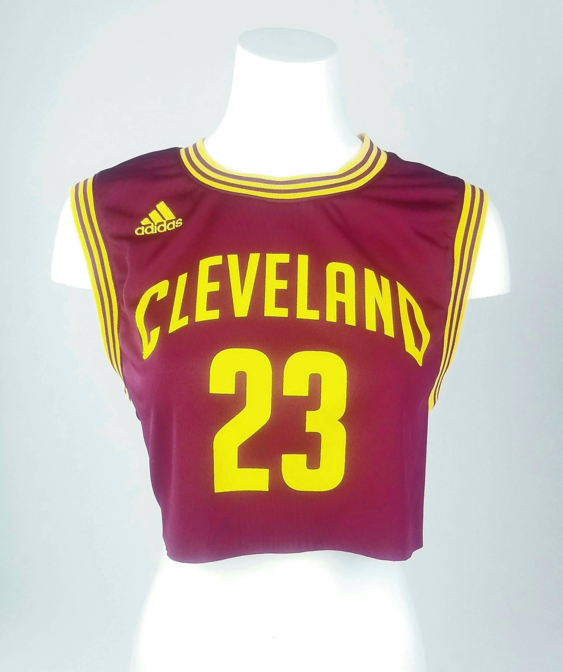  Cleveland Cavaliers NBA Team Panel (Medium, Black/Maroon) :  Sports Related Merchandise : Sports & Outdoors