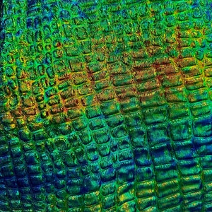 Puede incluir: Primer plano abstracto de una superficie texturizada con un patrón similar al de un reptil. El diseño presenta un mosaico de pequeñas formas rectangulares en tonos azules, verdes y amarillos, creando un efecto iridiscente vibrante. La textura general es áspera y desigual.