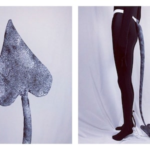 Op de afbeelding: Afbeelding in twee delen. Het linkerpaneel toont een grote, getextureerde schoppenvorm in grijstinten. Het rechterpaneel toont een persoon die een zwarte legging draagt en een staart die eindigt in een hartvorm.