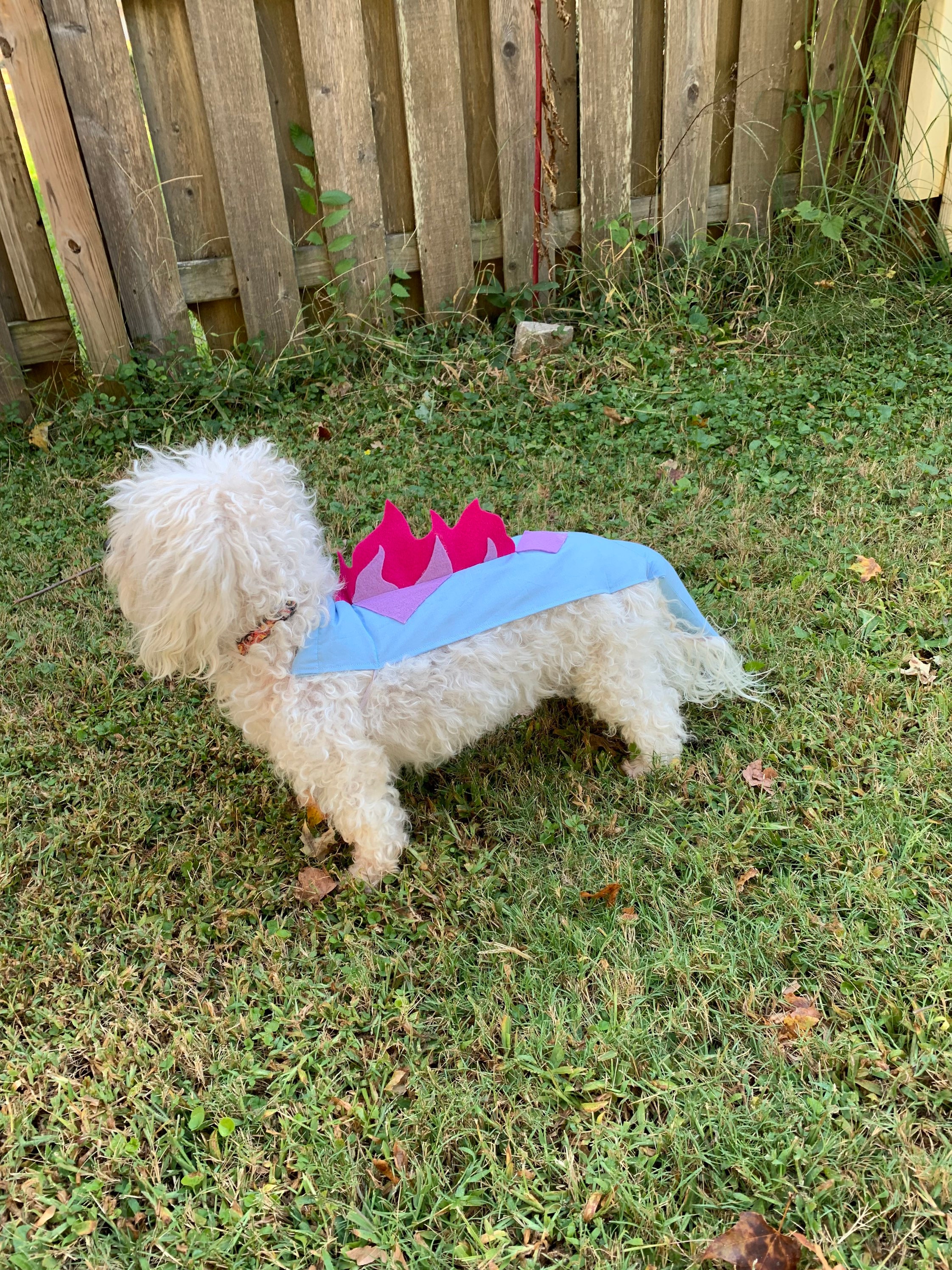 Dog frozen costume outlet