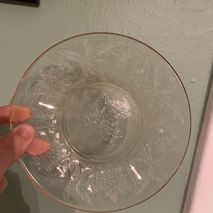 Puede incluir: Un plato de vidrio transparente con un borde rosa y un diseño floral. El plato tiene un delicado patrón grabado de hojas y flores.