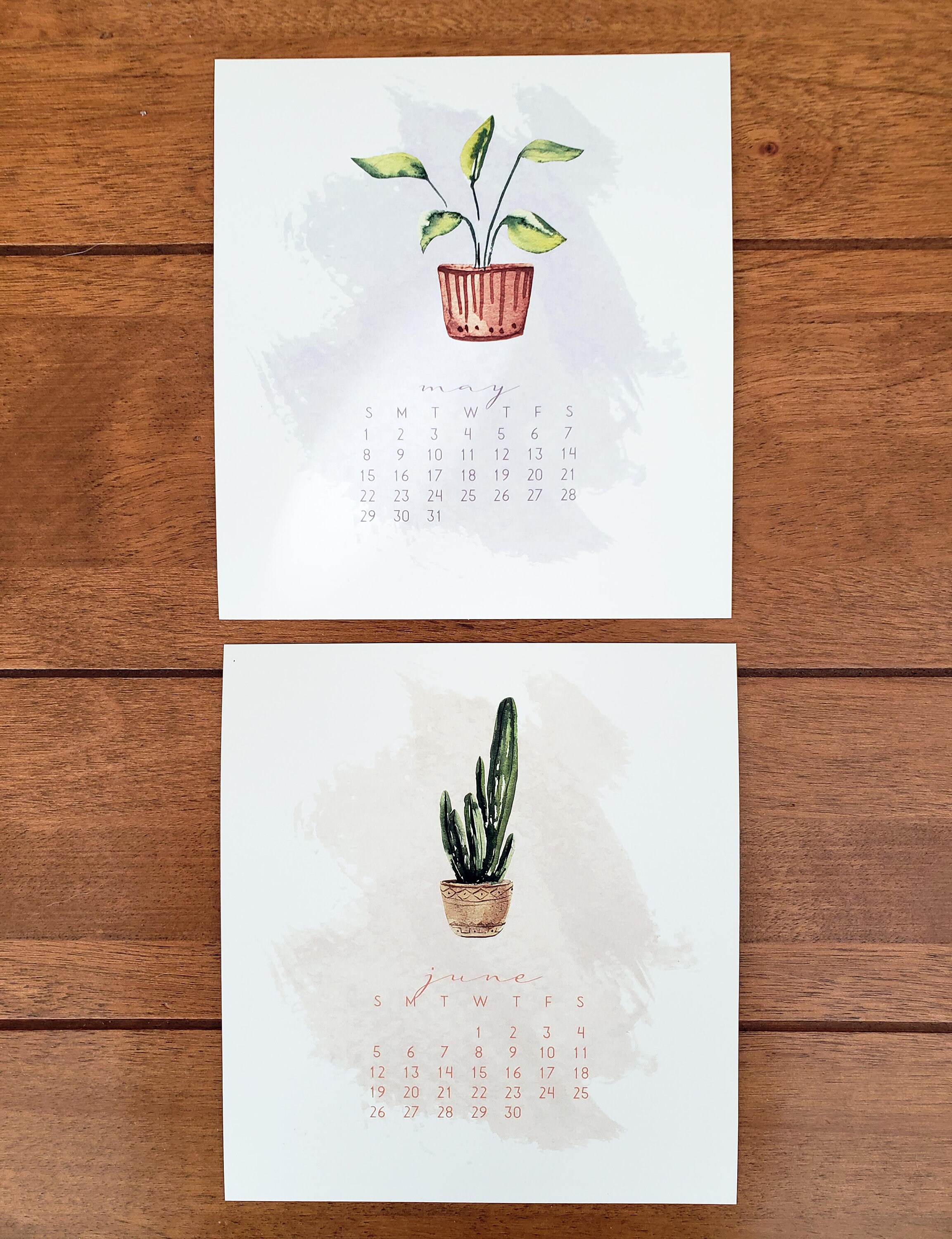 READY TO SHIP // House Plants Desk Calendar 2023 2023 Modern Etsy
