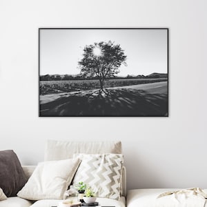 Napa Valley Wall Decor, Digital Download, Napa Printable, Tree Silhouette, Black and White Napa Art, Napa Valley Photography, Nature Print