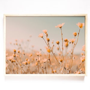 Pu&ograve; includere: Stampa incorniciata raffigurante un campo di fiori selvatici nei toni pesca e giallo tenue su un cielo azzurro pallido. I fiori hanno petali delicati e steli sottili, creando una scena serena. La cornice &egrave; in legno chiaro.