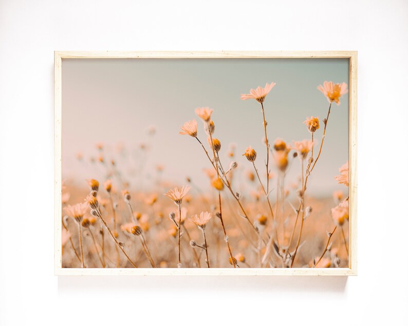 Pu&ograve; includere: Stampa incorniciata raffigurante un campo di fiori selvatici nei toni pesca e giallo tenue su un cielo azzurro pallido. I fiori hanno petali delicati e steli sottili, creando una scena serena. La cornice &egrave; in legno chiaro.