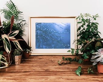Nature Photography Printable, Botanical Print, Blue Plant Art, Bedroom Wall Art, Masculine Wall Art, Botanical Wall Art, Botanical Print Art