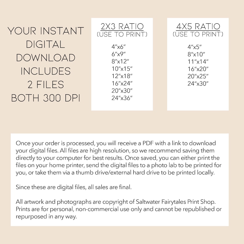 Pu&ograve; includere: Una descrizione del prodotto per il download digitale con testo che include "YOUR INSTANT DIGITAL DOWNLOAD INCLUDES 2 FILES BOTH 300 DPI". Elenca le dimensioni di stampa in cm per i rapporti 2x3 e 4x5. Il testo menziona anche che tutte le vendite sono definitive.