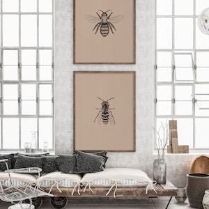 Vintage Insect Set of 2 Prints, Bee Art, Boho Insect Prints, Vertical Print Set, Vintage Insects, Bee and Wasp, Animal Wall Art Set
