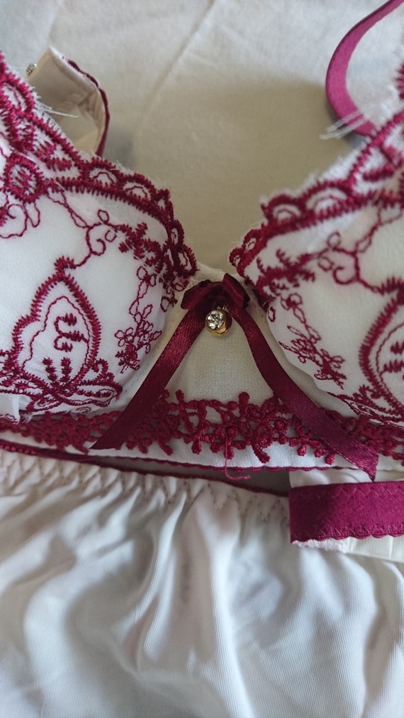 Silky Bra and Panties Set From Japan size 10-10A Aus/uk & 5/US 32A -   Israel