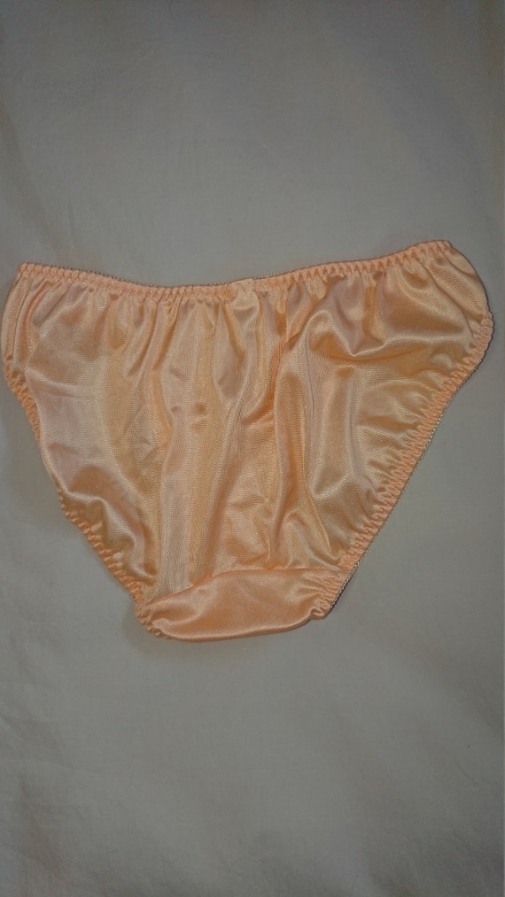 Silky Bikini Panties by Triumph Lingerie size 10-12 Aus/uk & 5-6