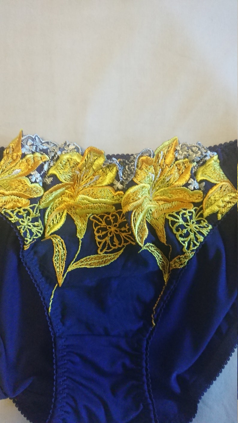 Silky Bikini Panties from Japan size 10 AusUK /& 5US