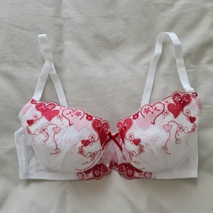 Size 36d Bra 