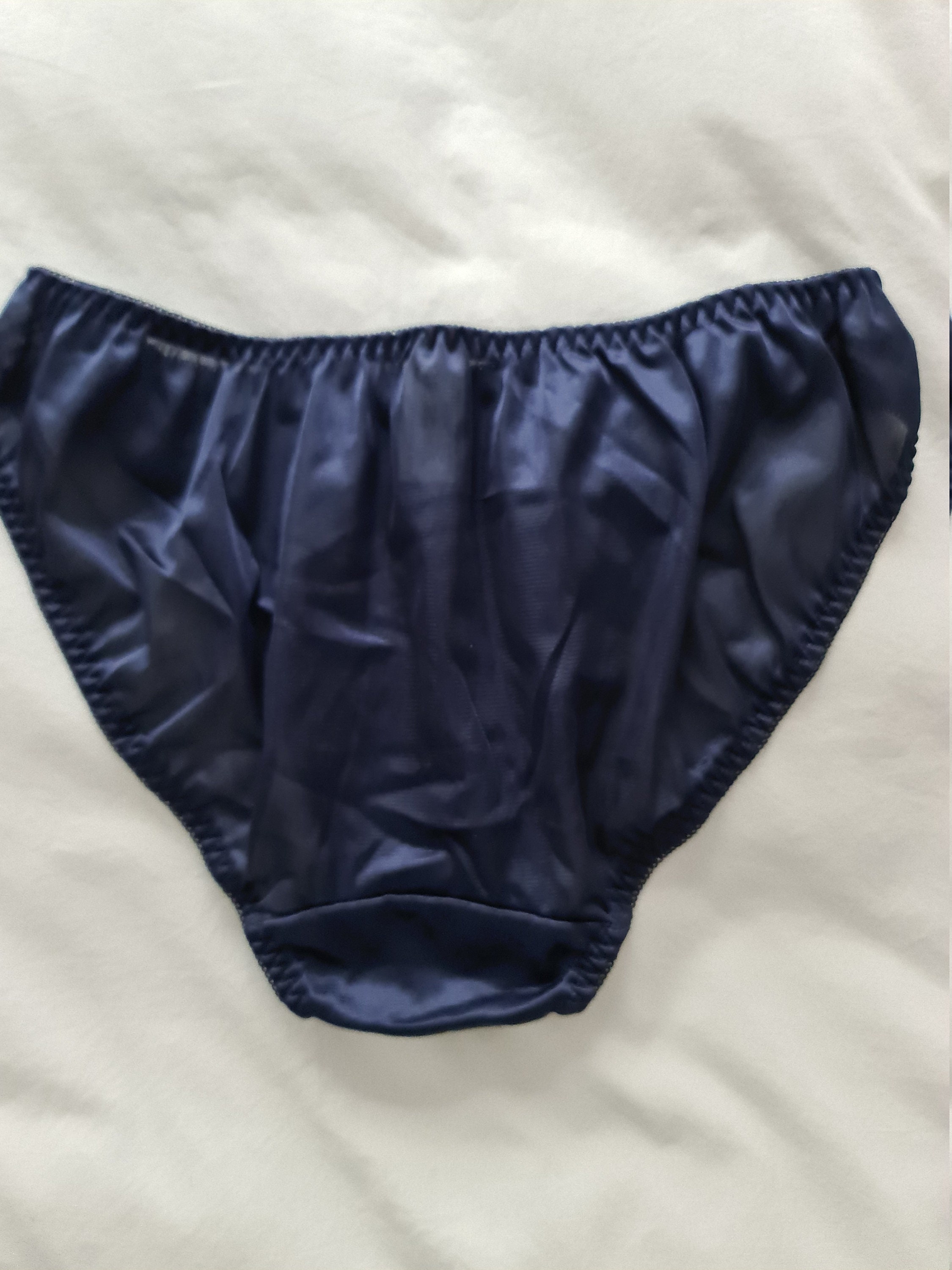 Silky Purple NWOT Nylon Bikini Panties from Japan (size 12 Aus/UK & 6/US)