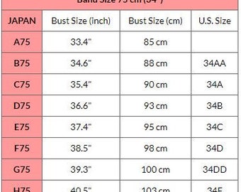 Vintage Bra de Japón (talla 12B Aus y 34B UK/US, Japan D75)