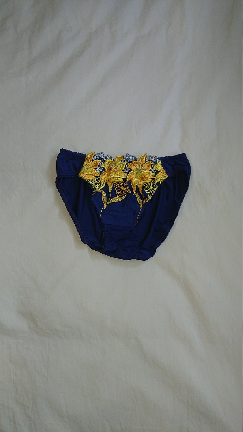 Silky Bikini Panties from Japan size 10 AusUK /& 5US