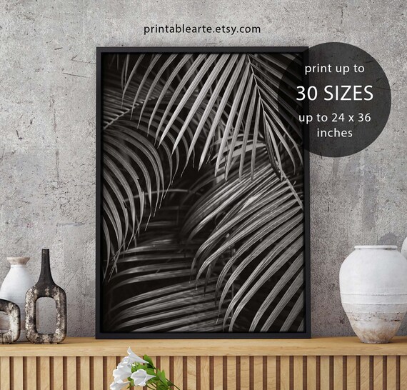 Palm Palm Tree Print Printable Art Palm Tree Tropical Wall | Etsy