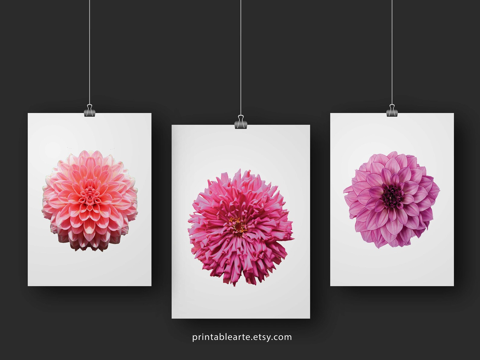 Modern Minimalist Flower Art 3 Piece Wall Art Botanical Wall Etsy