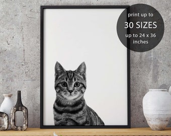 Cat print, cat art, black and white cat, cat wall art, cat poster, cat wall art, cat art print, cat lover gift, wall decor, cat decor, cats