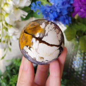 Super Unique Blue White Yellow Petrified Wood Sphere 59MM