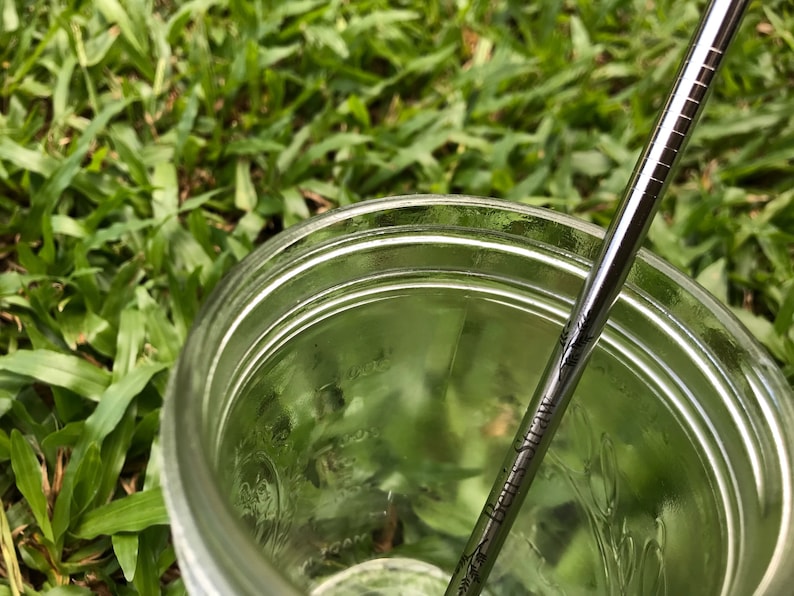 Personalized Eco-friendly Stainless Steel Straw Set with Pouch and Name Engraving