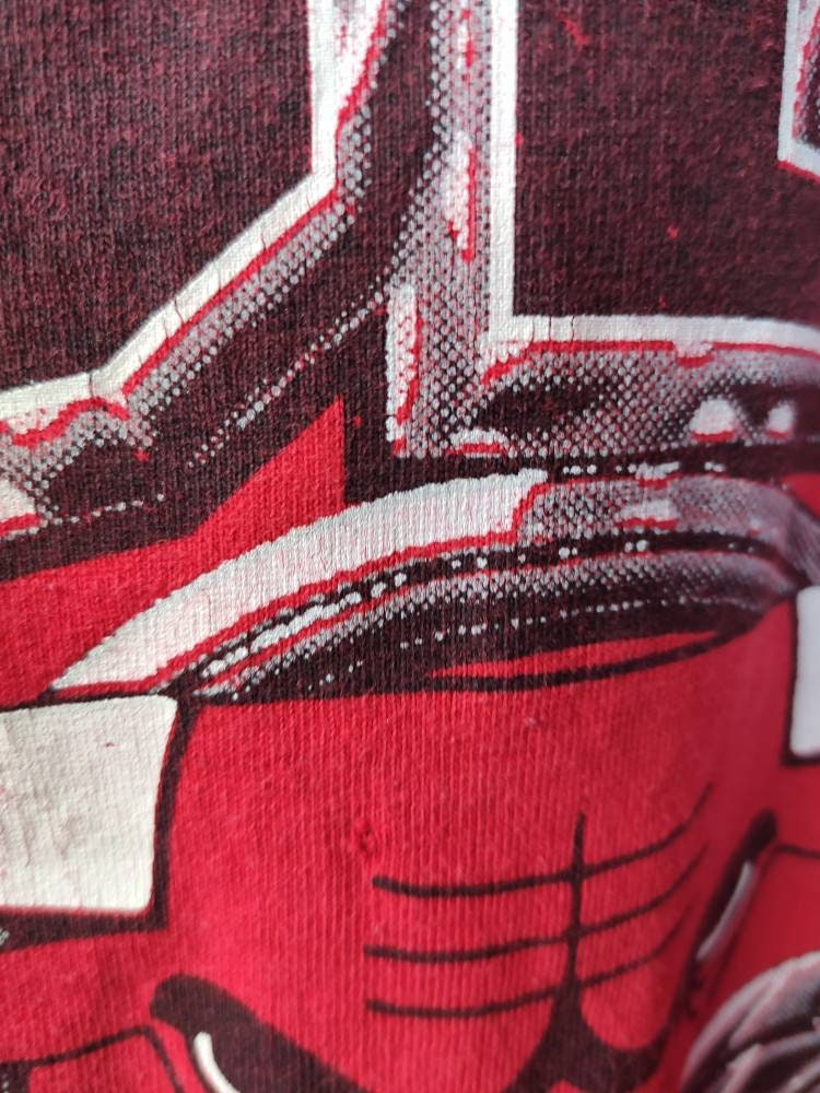 90'sシカゴブルズ　Tシャツ　NBA　マイケルジョーダン　デニスロッドマン imgrc0089555629.jpg