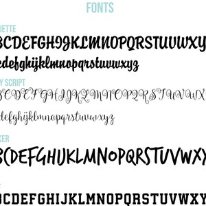 May include: A display of various font styles, including Briquette, Fancy Script, Marker, and Serif. Each font is shown in both uppercase and lowercase letters, with the word "FONTS" at the top in a teal color.