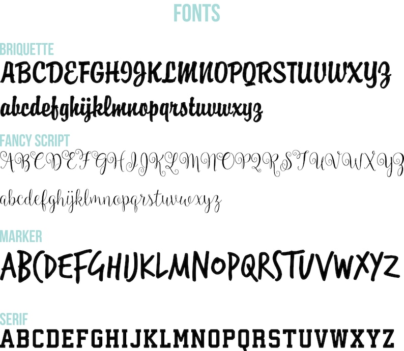 May include: A display of various font styles, including Briquette, Fancy Script, Marker, and Serif. Each font is shown in both uppercase and lowercase letters, with the word "FONTS" at the top in a teal color.