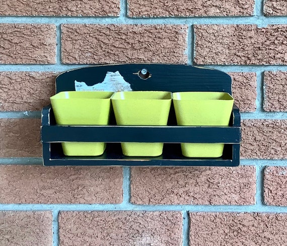 Black Succulent Wall Planter Wood Mounted Plant Hanger