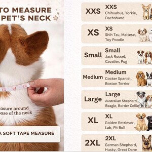 The image is a collage of images depicting different dog breeds and their corresponding neck measurements, along with instructions on how to measure a pet's neck using a soft tape measure.
