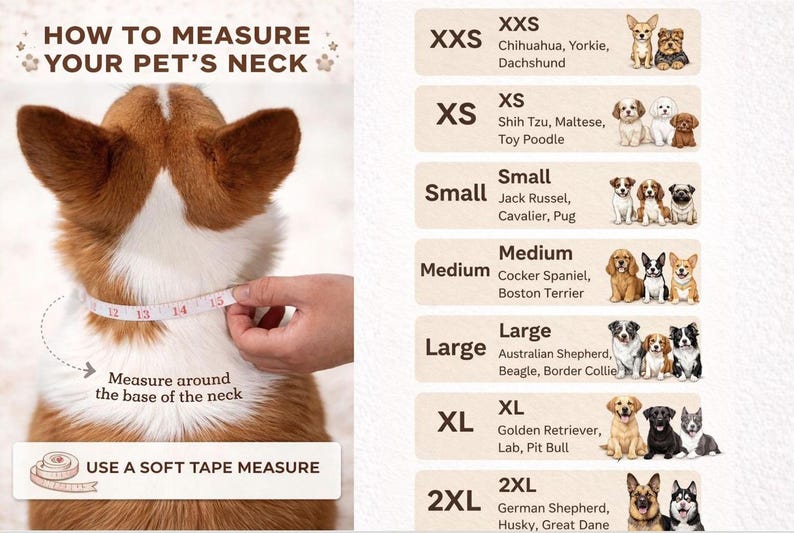 The image is a collage of images depicting different dog breeds and their corresponding neck measurements, along with instructions on how to measure a pet's neck using a soft tape measure.