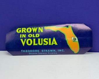 DeLeon Springs,FL-Grown in Old Volusia Fruit Label-Theodore Strawn Inc-Volusia