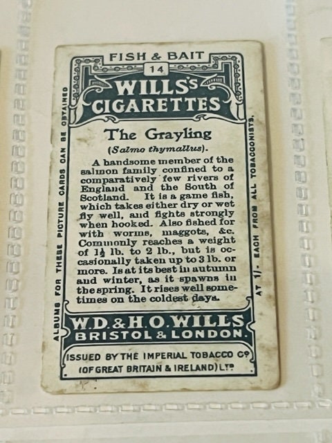 WD HO Wills Cigarettes Tobacco Trading Card 1910 Fish Bait Grayling #14 Red  Tag