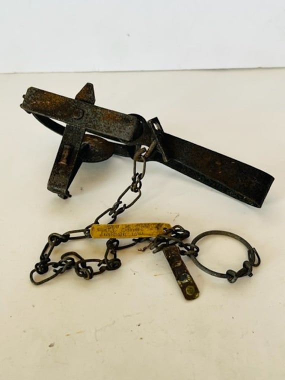 Antique Double Mouse Trap - Ruby Lane