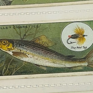 Puede incluir: Una tarjeta de colección vintage de cigarrillos Wills's que presenta una ilustración detallada de un pez plateado sobre un fondo verde, marrón y amarillo. El texto "The Red Tag" está impreso en la esquina inferior derecha de la tarjeta.