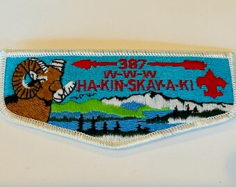 Boy Scouts Cub Girl Patch Vtg Council Badge Memorabilia 387 WWW Hakinskayaki Ram