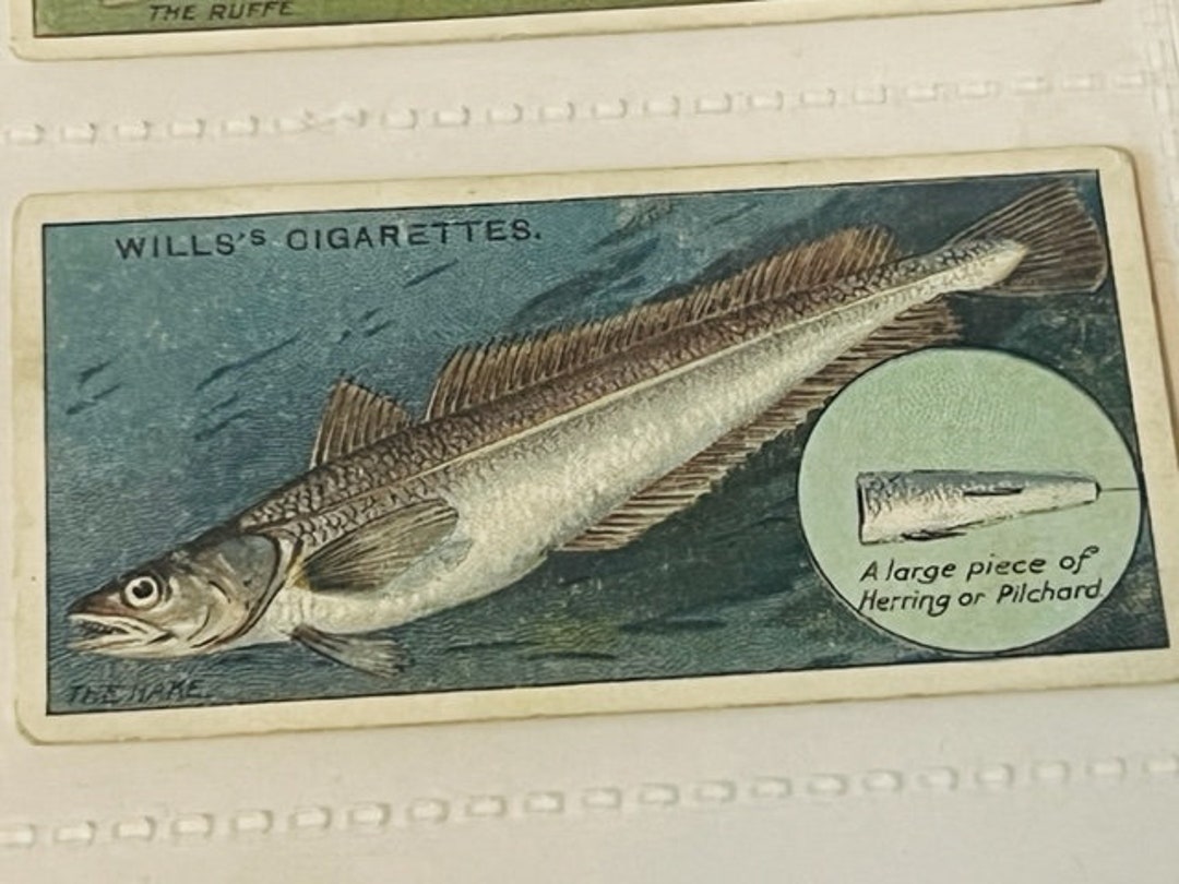 WD HO Wills Cigarettes Tobacco Trading Card 1910 Fish Bait Lure Hake #26  Herring