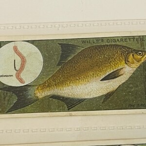 Puede incluir: Una tarjeta de intercambio vintage de cigarrillos Wills's que presenta una ilustración detallada de un pez con un gusano rosa en un anzuelo. El texto "Lobworm" y "The Break" es visible en la tarjeta.