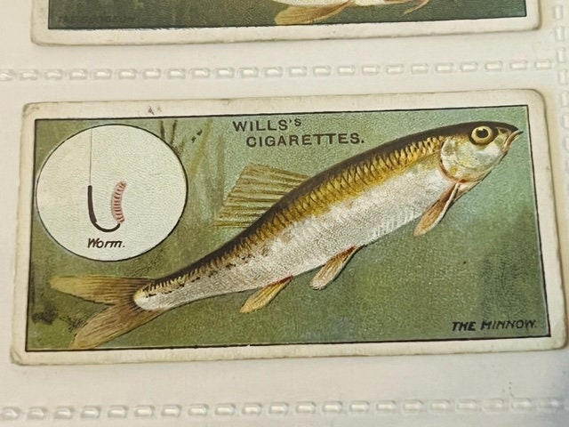 wills cigarette cards fish and bait WD HO Wills Cigarettes Tobacco Trading Card 1910 Fish & Bait Lure Minnow #4 vtg wills cigarette cards fish and bait WD HO Wills Cigarettes Tobacco Trading Card 1910 Fish & Bait Lure Minnow #4 vtg