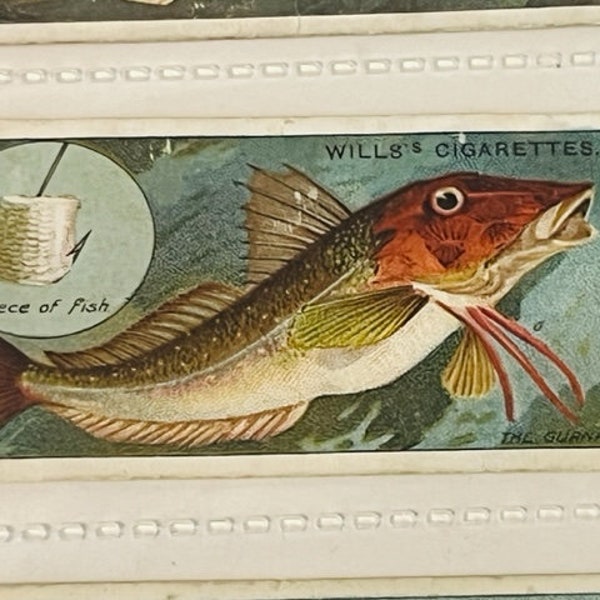 WD HO Wills Cigarettes Tobacco Trading Card 1910 Fish Bait Lure #43 Gurnard hook