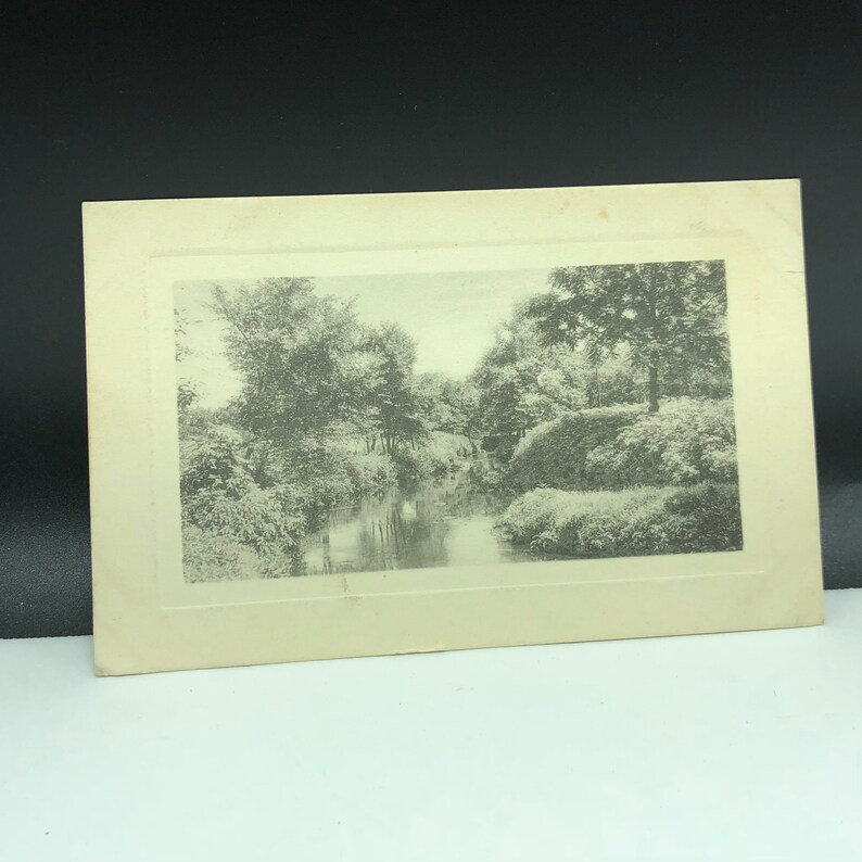 1911 ANTIQUE POSTCARD EPHEMERA paper collectible post card souvenir uncirculated divided back North Carolina Nc embossed framed nature trees