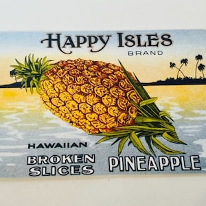 Hawaii Ongebruikte Ansichtkaart Tiki Bar Hula Meisje Post Card vtg aloha surf strand lei eiland kunst H5 ananas