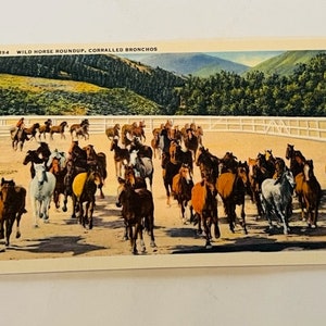 Antieke ansichtkaart Ephemera papier verzamelbare postkaart souvenir verdeeld terug vintage Portland Oregon wild paard round up western cowboy
